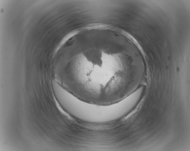 X0000085301433200703231847