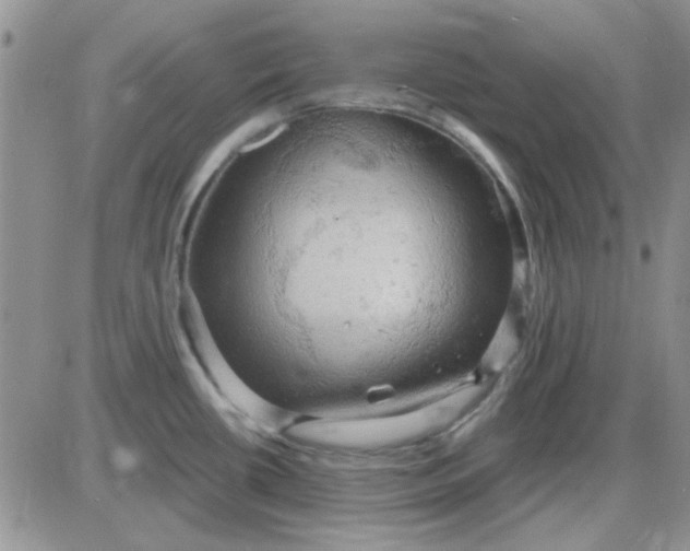 X0000085301434200703231847