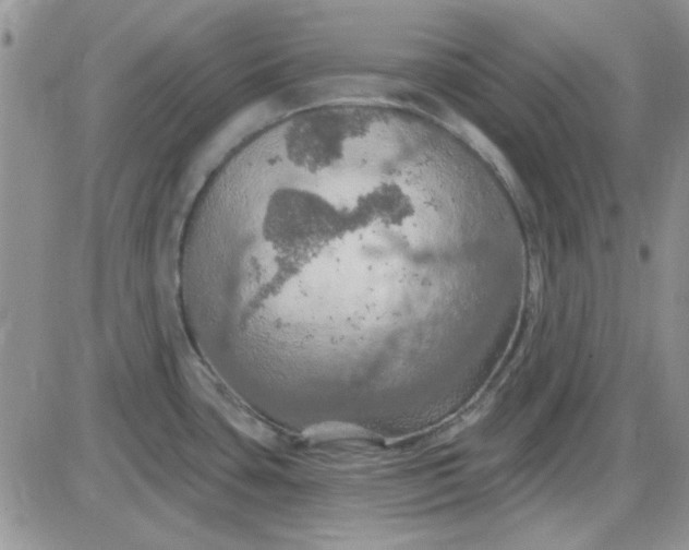 X0000085301435200703231847