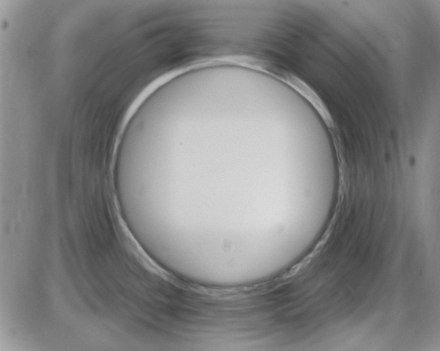 X0000085301436200703231847