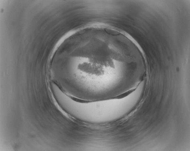 X0000085301437200703231847