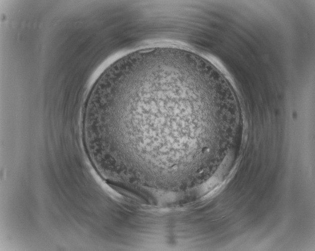 X0000085301438200703231847