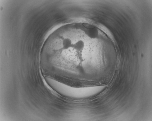 X0000085301439200703231847