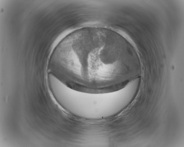 X0000085301440200703231847