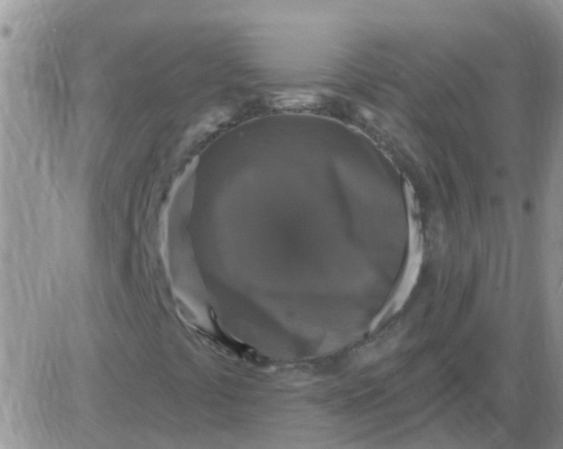 X0000085301441200703231846