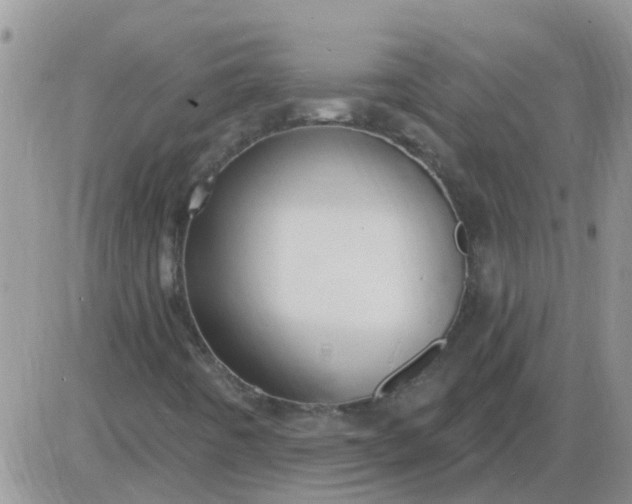 X0000085301442200703231846