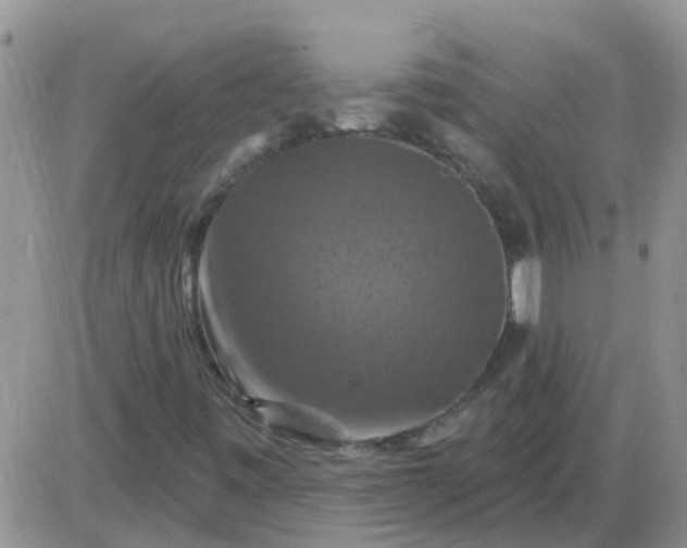 X0000085301443200703231846