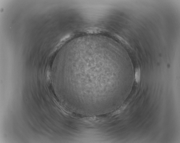 X0000085301444200703231846