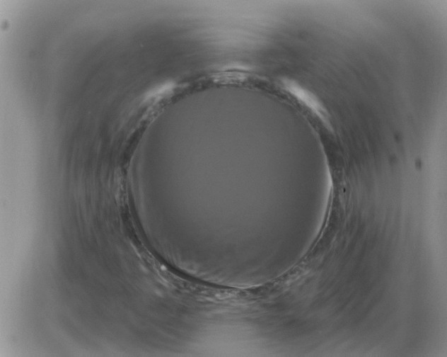 X0000085301445200703231846