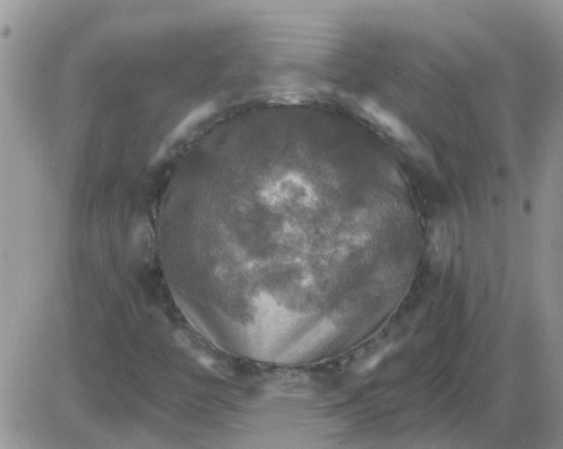 X0000085301446200703231846