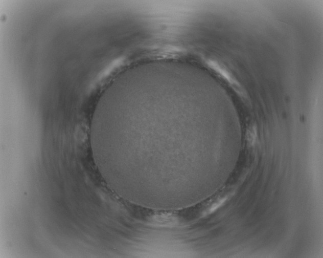 X0000085301447200703231846