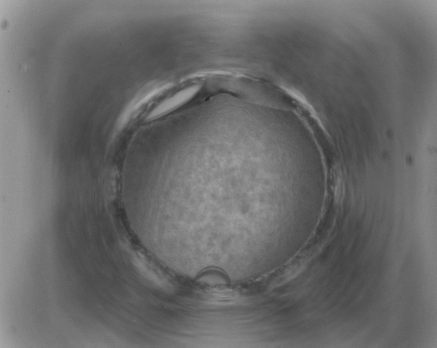 X0000085301448200703231846