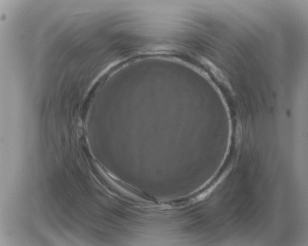 X0000085301449200703231846