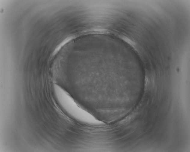 X0000085301450200703231846