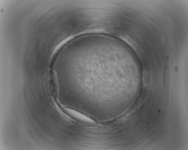 X0000085301452200703231846