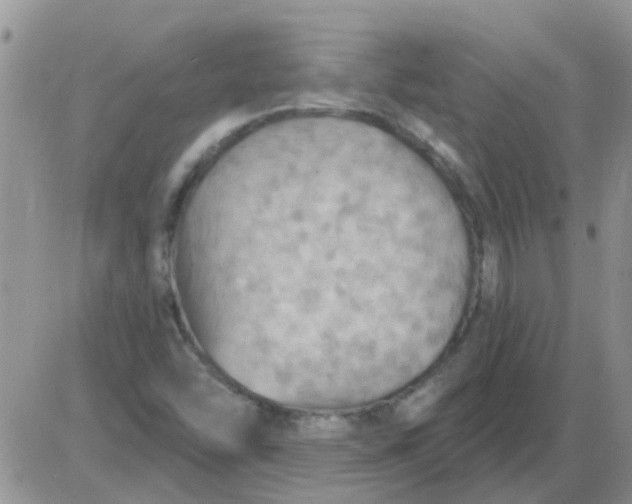 X0000085301454200703231846