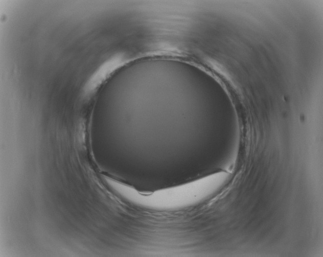 X0000085301455200703231846