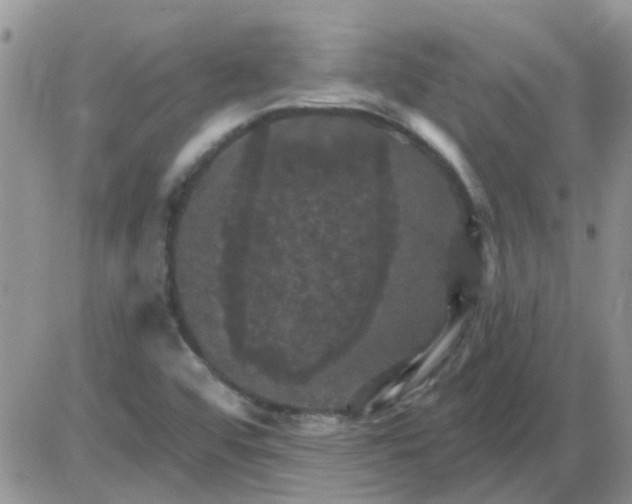 X0000085301456200703231846