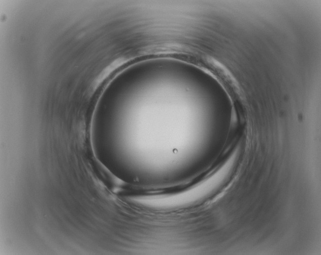 X0000085301457200703231846