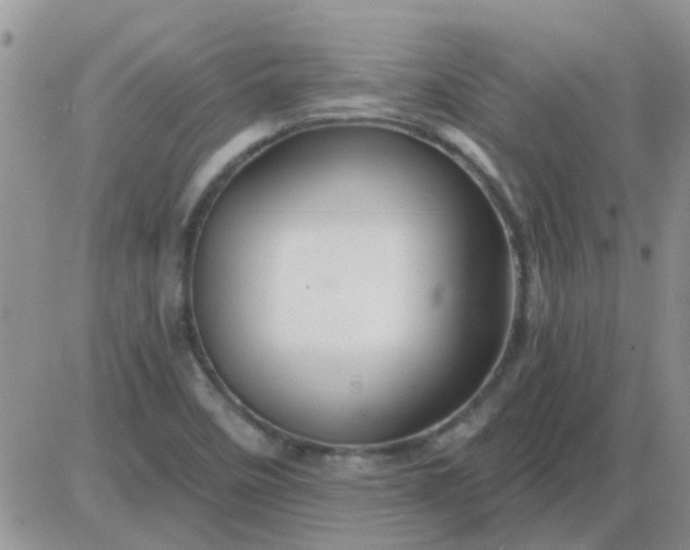 X0000085301458200703231846