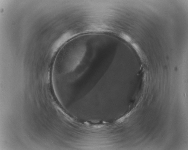 X0000085301459200703231846