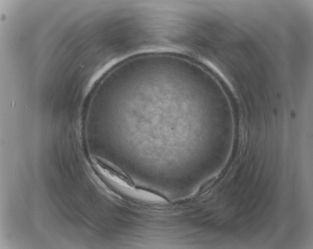 X0000085301460200703231846