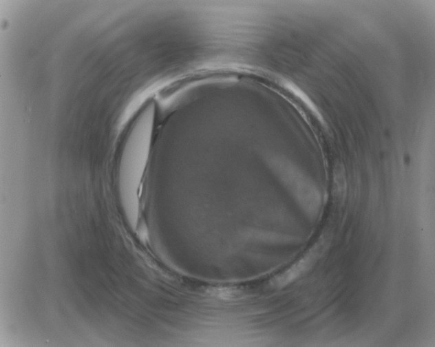 X0000085301461200703231846