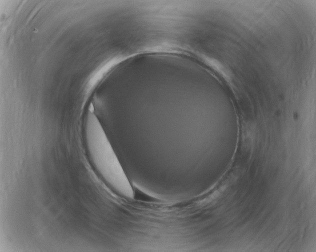 X0000085301463200703231846