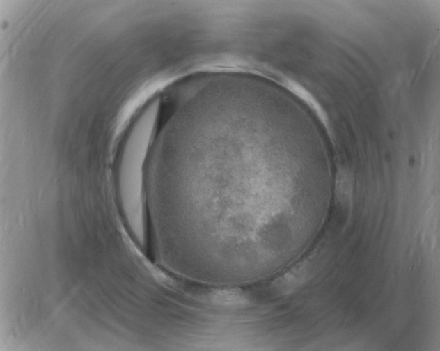 X0000085301464200703231846