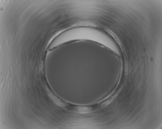 X0000085301465200703231846