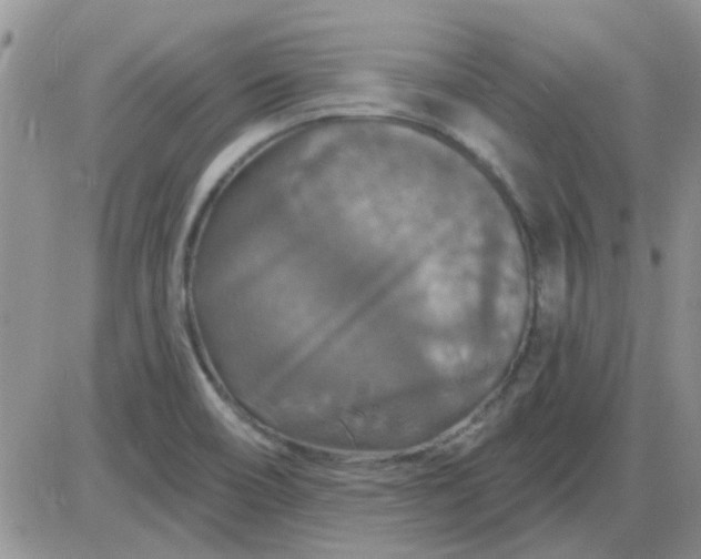 X0000085301466200703231846