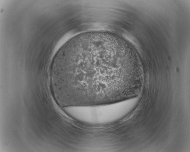 X0000085301467200703231846