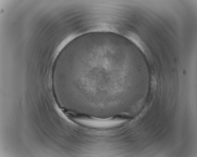 X0000085301468200703231846