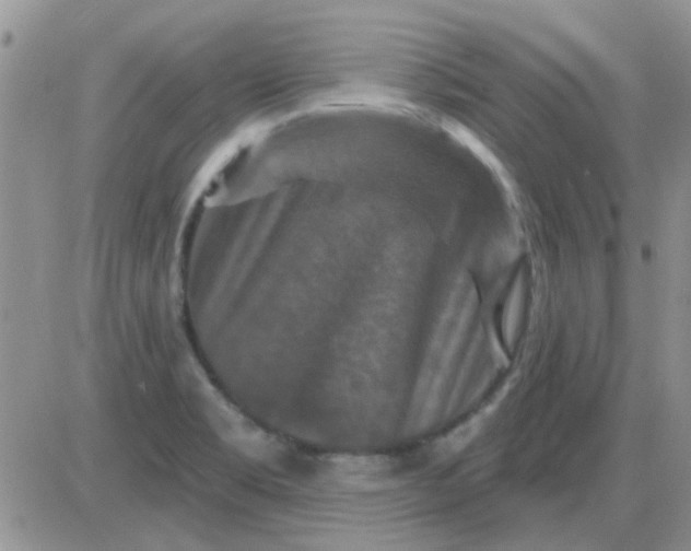 X0000085301469200703231846