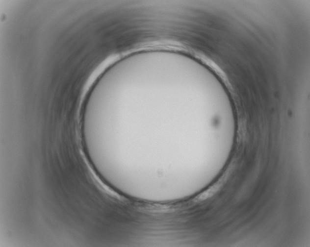 X0000085301470200703231846