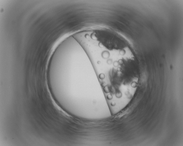 X0000085301471200703231846