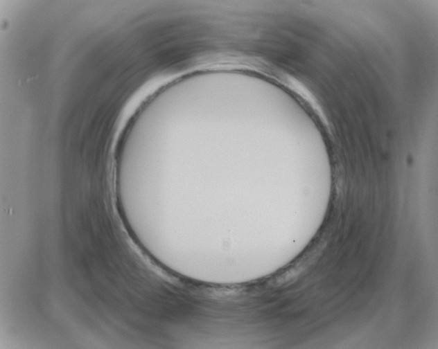 X0000085301472200703231846