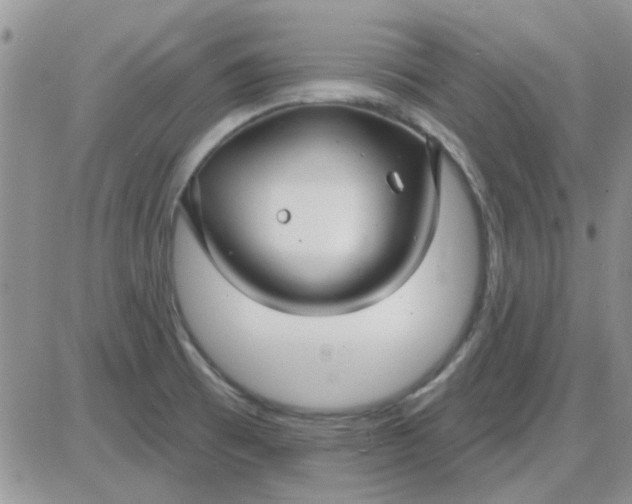 X0000085301473200703231846