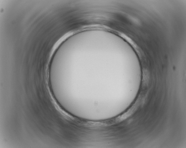 X0000085301474200703231846