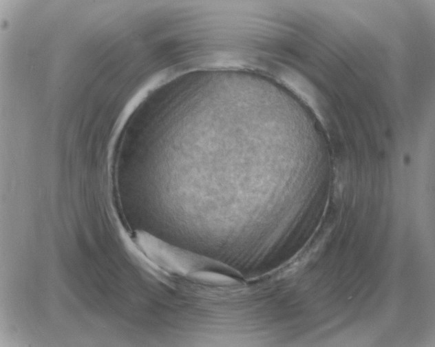 X0000085301475200703231846