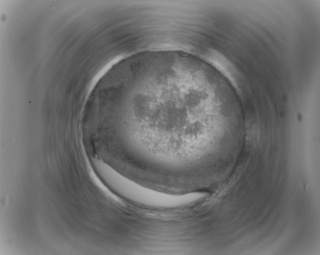 X0000085301476200703231846