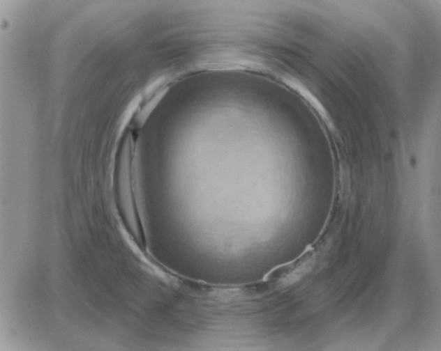 X0000085301477200703231846