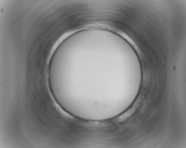 X0000085301478200703231845