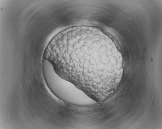 X0000085301479200703231845