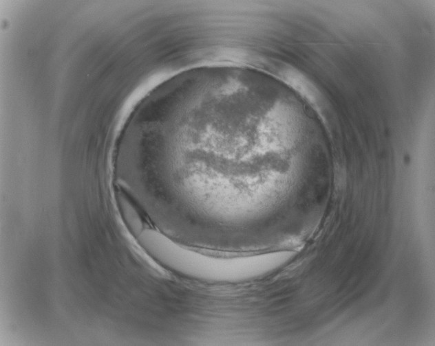 X0000085301480200703231845