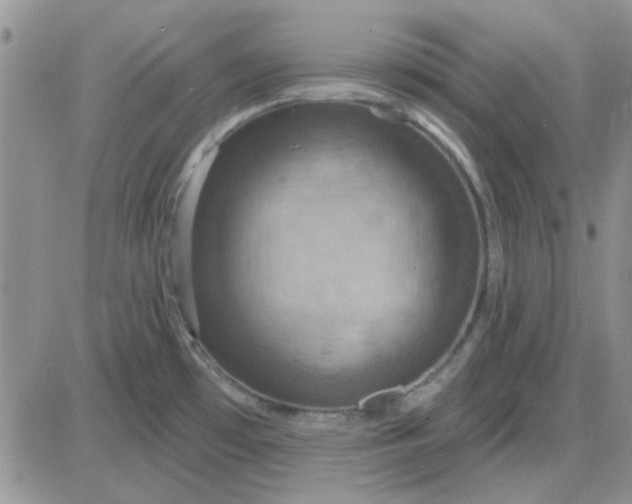 X0000085301481200703231845