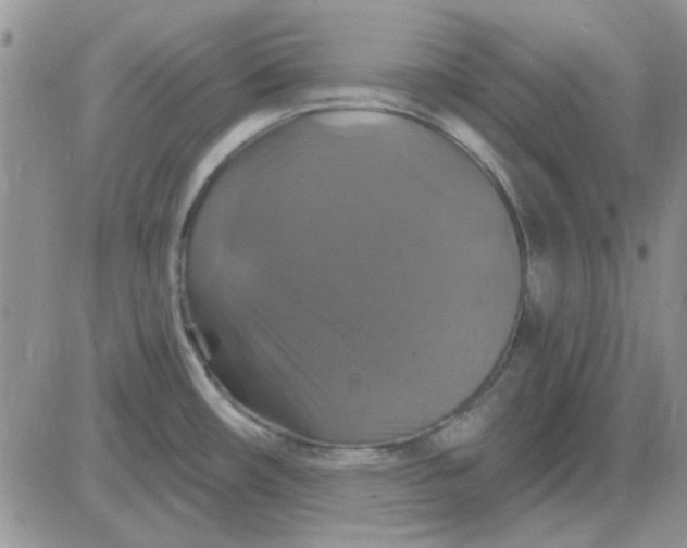 X0000085301482200703231845