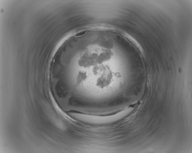 X0000085301483200703231845