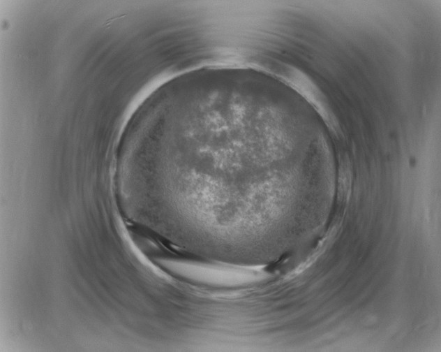 X0000085301484200703231845