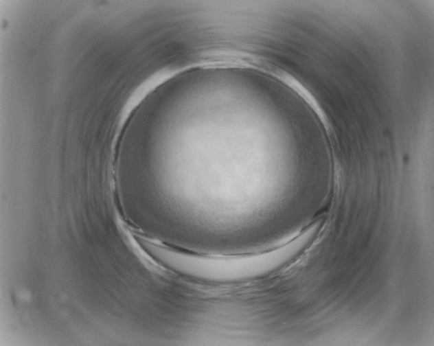 X0000085301485200703231845